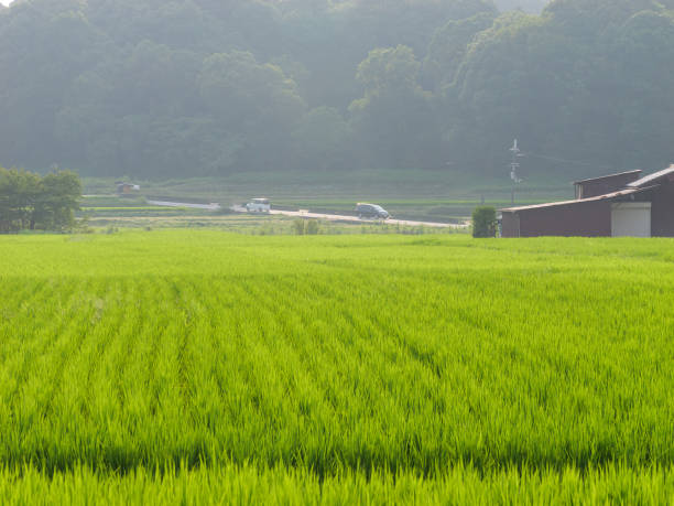 bg_img_about_block4-6